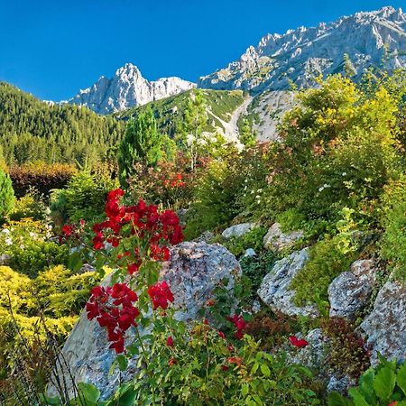 Pension Stoffenbauer Ramsau am Dachstein Exteriör bild