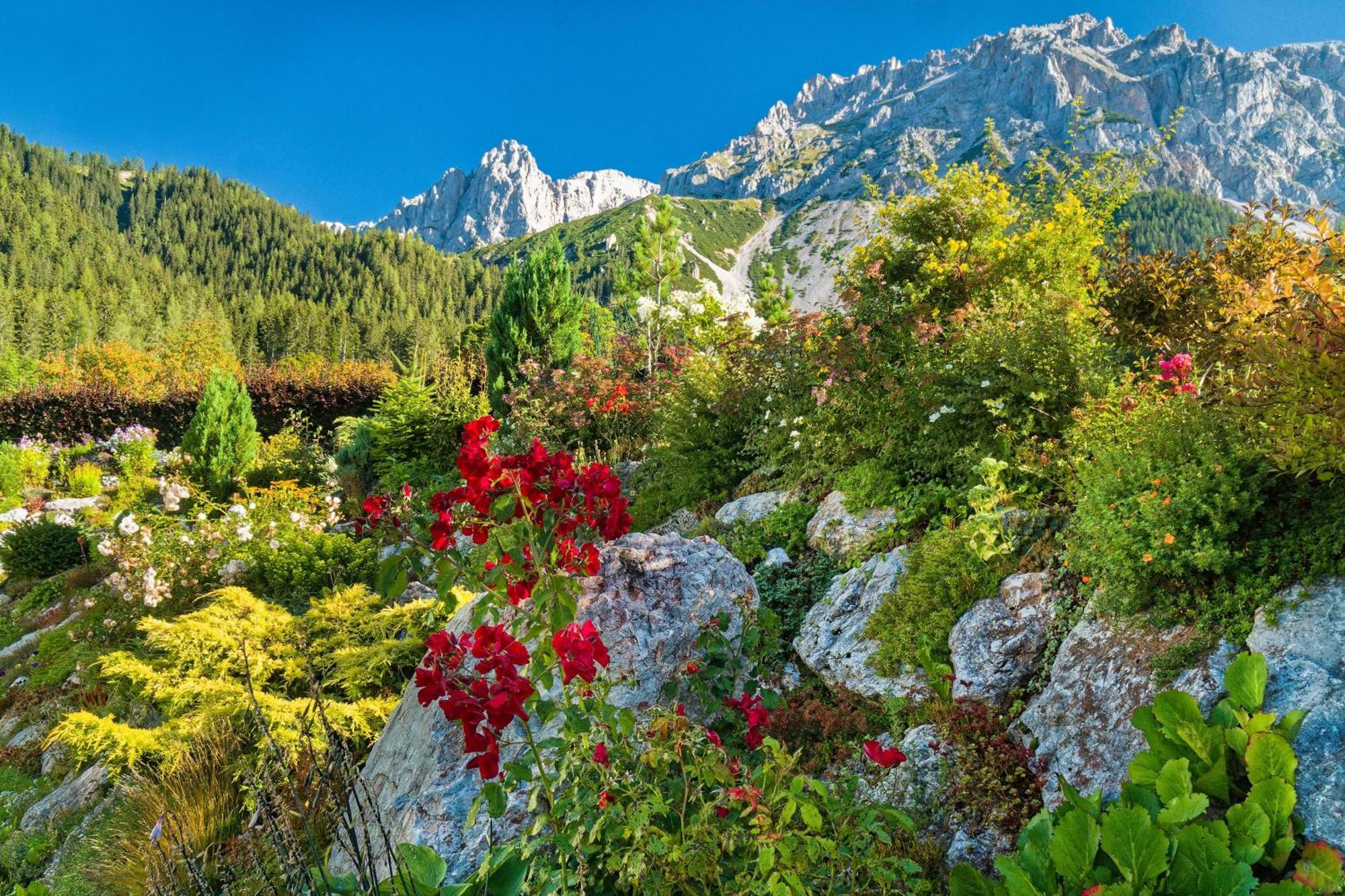 Pension Stoffenbauer Ramsau am Dachstein Exteriör bild