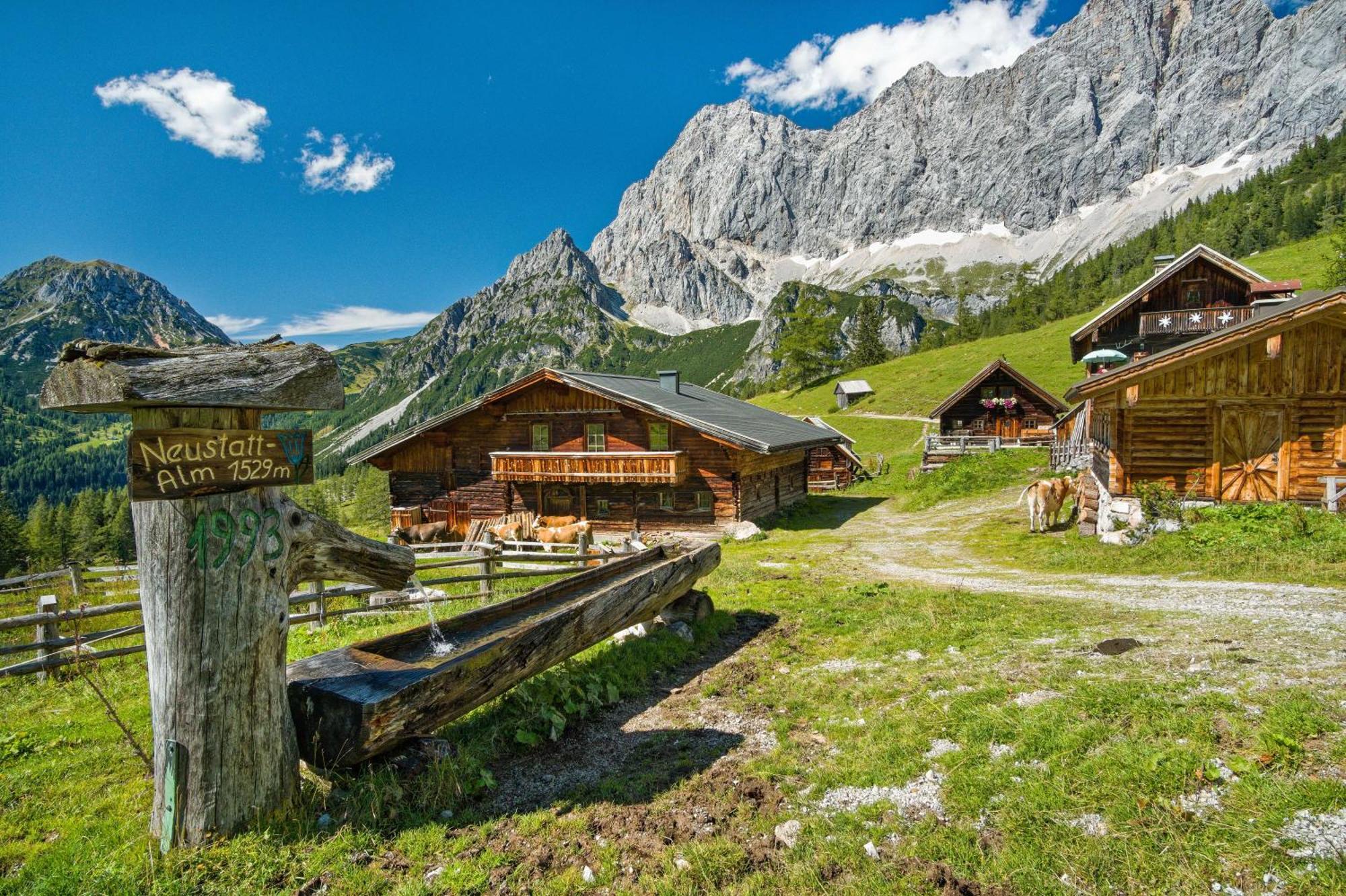 Pension Stoffenbauer Ramsau am Dachstein Exteriör bild