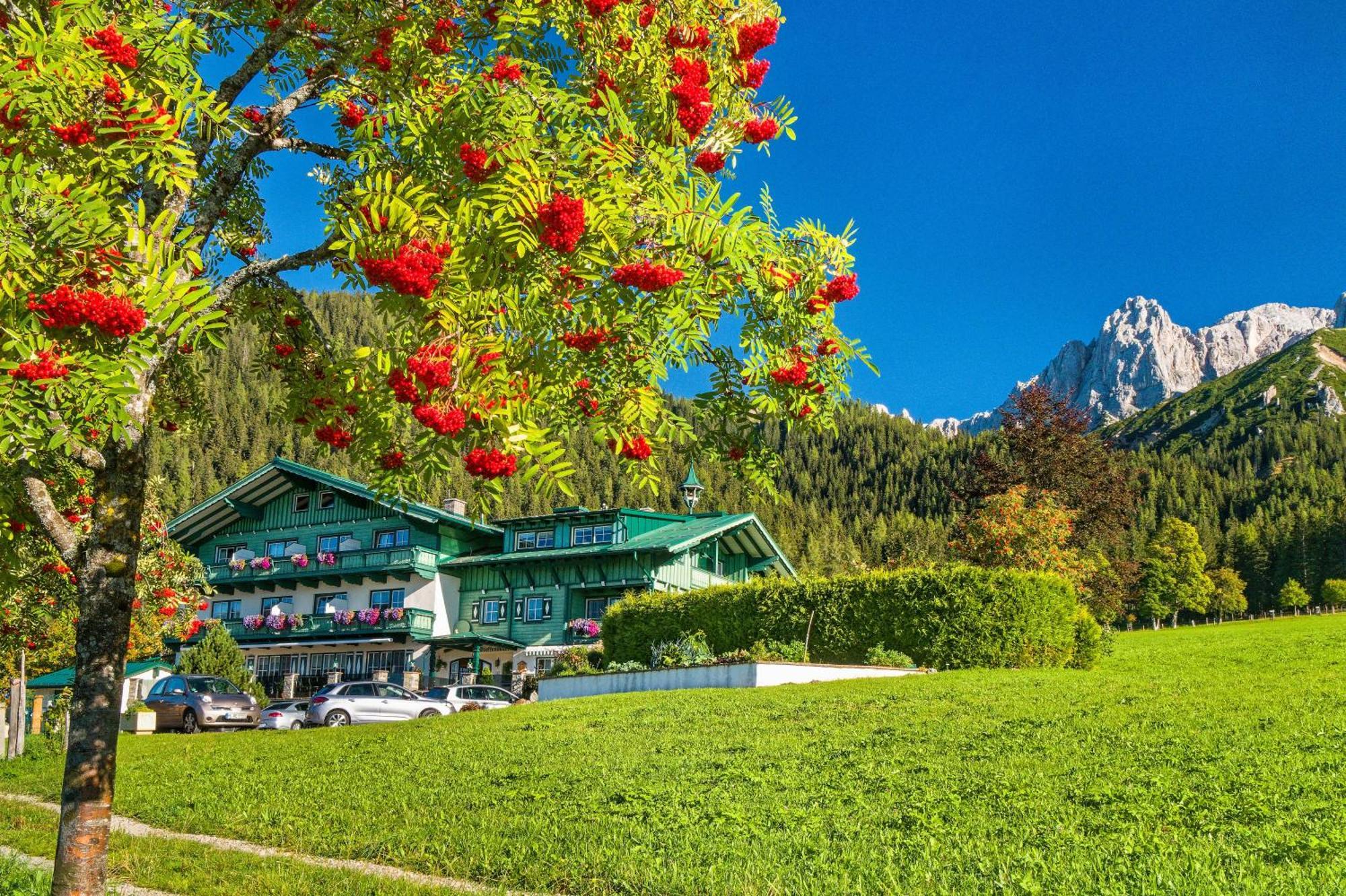 Pension Stoffenbauer Ramsau am Dachstein Exteriör bild