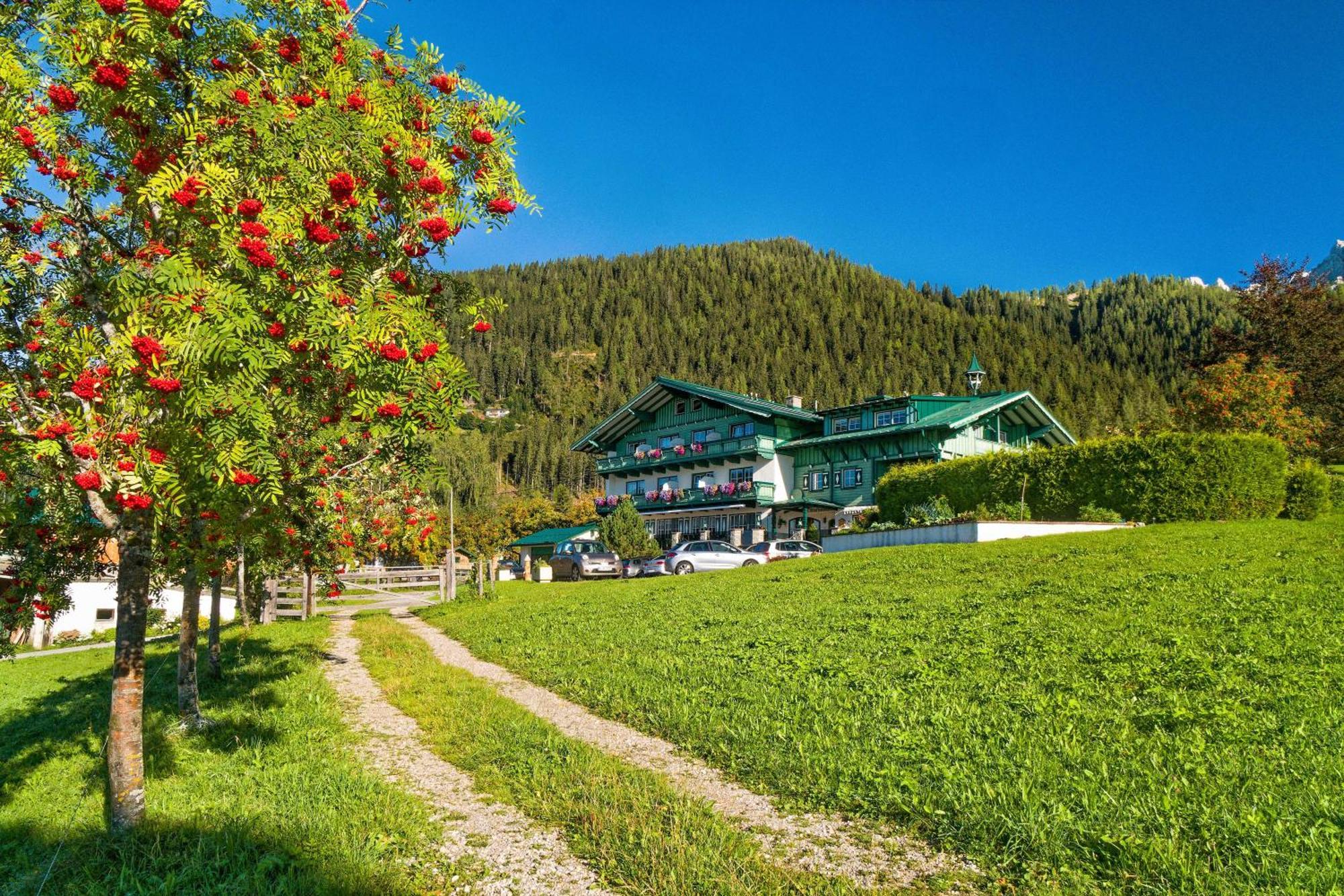 Pension Stoffenbauer Ramsau am Dachstein Exteriör bild