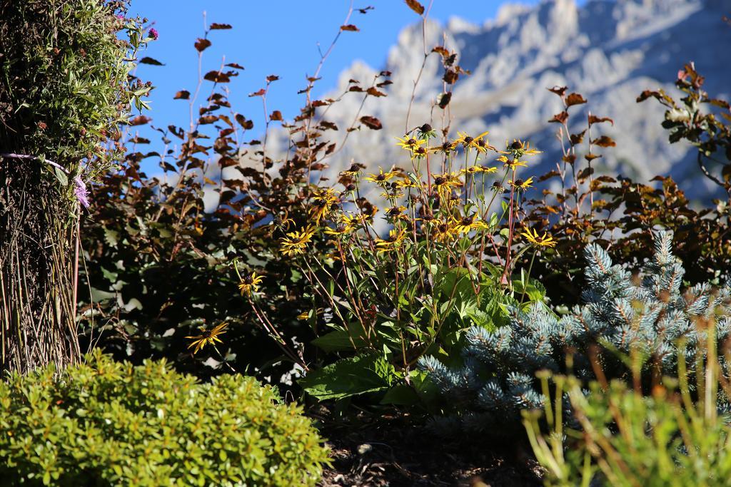 Pension Stoffenbauer Ramsau am Dachstein Exteriör bild